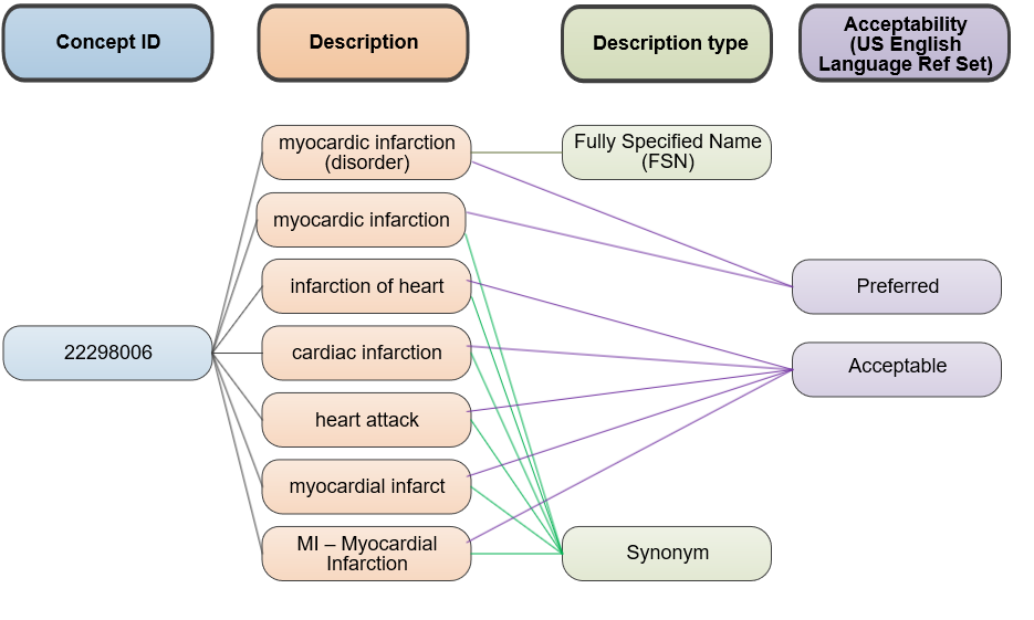 descriptions