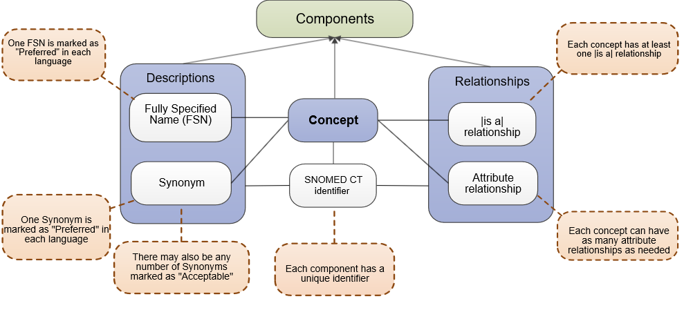 logicalModel