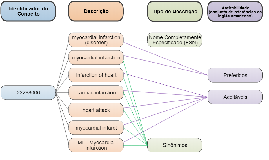 descriptions